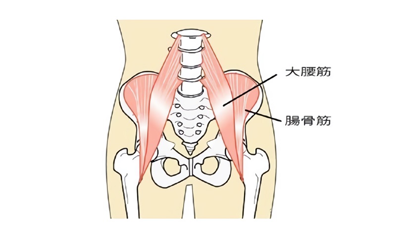 肩甲骨 背中が痛い しびれる 肩甲骨が痛くて寝られない 息苦しい原因と治療法